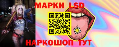 гидропоника Будённовск